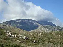 Mount Helicon where Pegasus created the spring Hippocrene