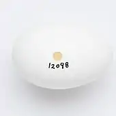  a white elongated egg