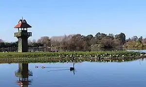 Henley Lake beside the Ruamahunga River