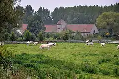 The Bosseveerhoeve of the former Nieuwenbosch Abbey