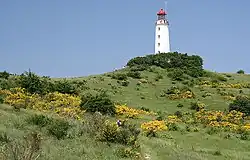 Dornbusch Lighthouse on the Hiddensee