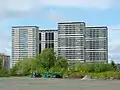 Caledonia Road towers ('Hutchie D'), 2005, shortly before the demolition of two (right)