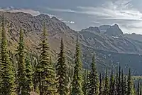 Vista of treeless sloping mountain with tall trees in foreground