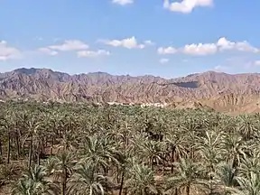 Hills in Fujairah