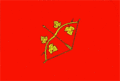 Flag of Hîncești