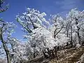 A view at Mount Hinokizuka Okumine (03/2009)