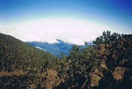 Hispaniolan pine forests, Hispaniolan pine forest as seen from Pico Duarte, Dominican Republic and Haiti, the island of Hispaniola