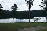 A view of the lake in the park from the waterfront.