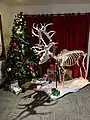 Holiday display photo opportunity featuring caribou skeleton