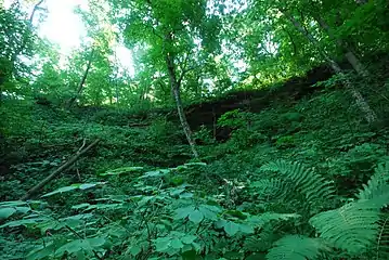 Hollow on Trempealeau Mountain