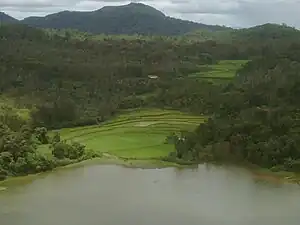 Landscape around Honnamana Kere