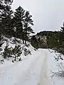 Horsetooth Rock Trail near the beginning.