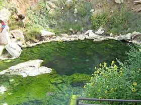 Hot spring, Thermopolis, WY