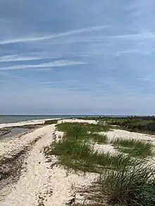 Dunes at and beach at Hughlett Point