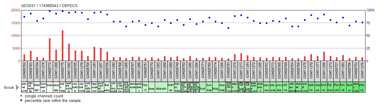 DEPDC5 expression profile of 52 human tissues