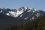 North aspect from Hurricane Ridge Road