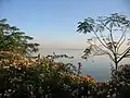 HusainSagar Lake near Necklace Road Misty in the Morning