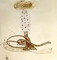 Tughra of Suleiman II