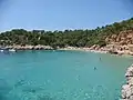 Platja Cala Salada