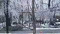 Ice storm topples trees on to roadway and power lines in Tinton Falls, New Jersey, on Valentine's Day 2007.