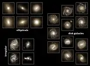 Galaxies predicted by the Illustris Simulation