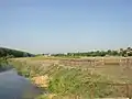 A landscape from Vojvodina, near the village of Skorenovac