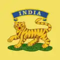 A tiger badge awarded for service in India.