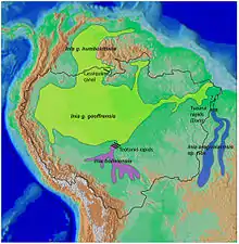 New World river dolphin range map