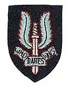 Beret Insignia of French SAS