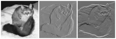 Left: Black and white picture of a cat. Center: The same cat, displayed in a gradient image in the x direction. Appears similar to an embossed image. Right: The same cat, displayed in a gradient image in the y direction. Appears similar to an embossed image.