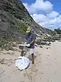 International Coastal Cleanup on the beaches of Hawaii, 2005