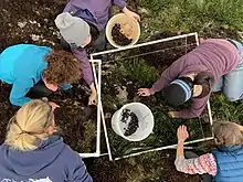 Five women crouch over a PVC square in a tide pool.