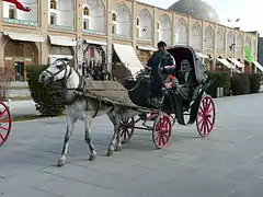 Horse shah abas square