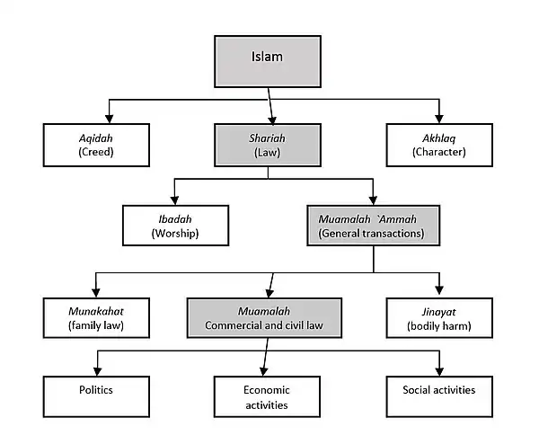 Aspects of Islam including fiqh