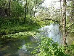 Izbalyk Shikovsky River, Pavlovsky District