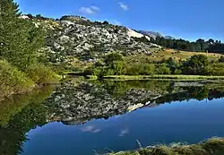 Bukovica river