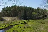 River in a field, wooded hill behind