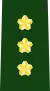 Lieutenant General