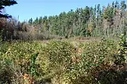 Carp River Forge site, 2010