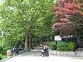 A walkway in Jayu Park