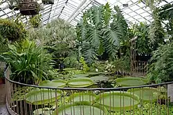 Botanischer Garten