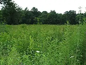 Jennings Environmental Education Center in Brady Township