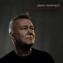 Jimmy Barnes's face looking up. 'Flesh and Blood' album cover with title.