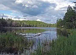 View of lake