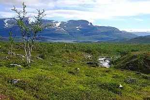 Lake Kårtejaure and the stream Njabbejåkkå, in Stora Sjöfallet National Park