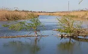 Kalmius River, Sartana