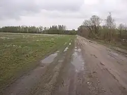 A road in Kamionka, Prażmów