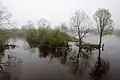 Spring flood in Kasari River