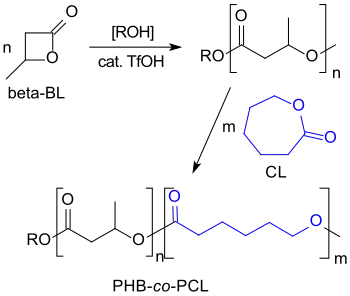 Kationische Copolymerisation von β-BL mit Caprolacton