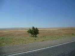 View of the plain from the road